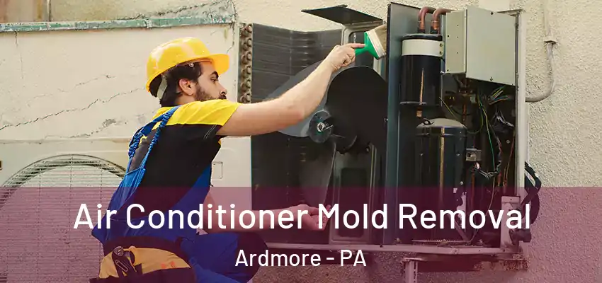 Air Conditioner Mold Removal Ardmore - PA