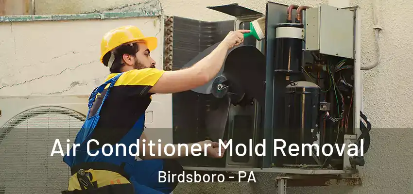  Air Conditioner Mold Removal Birdsboro - PA