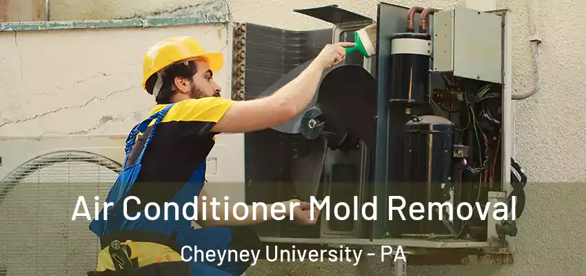  Air Conditioner Mold Removal Cheyney University - PA
