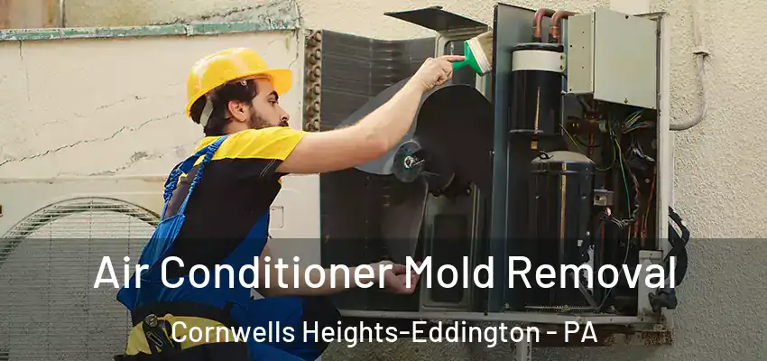 Air Conditioner Mold Removal Cornwells Heights-Eddington - PA