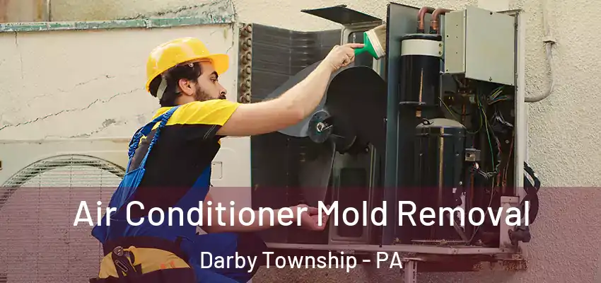  Air Conditioner Mold Removal Darby Township - PA