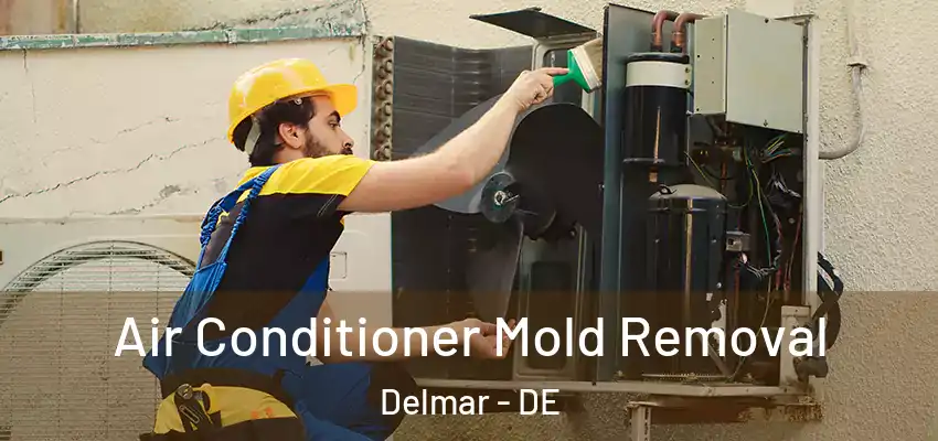 Air Conditioner Mold Removal Delmar - DE