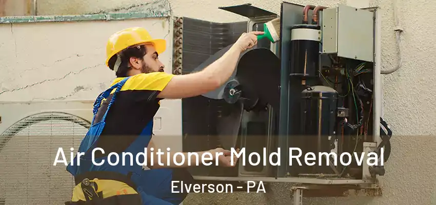 Air Conditioner Mold Removal Elverson - PA