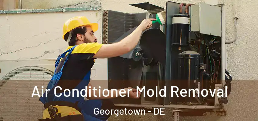  Air Conditioner Mold Removal Georgetown - DE