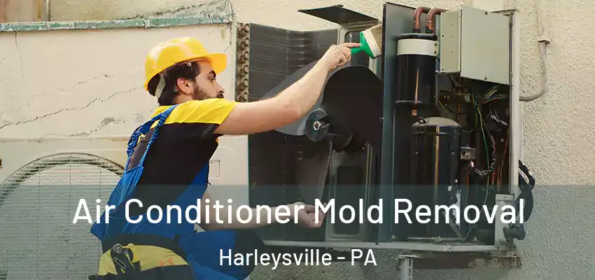  Air Conditioner Mold Removal Harleysville - PA