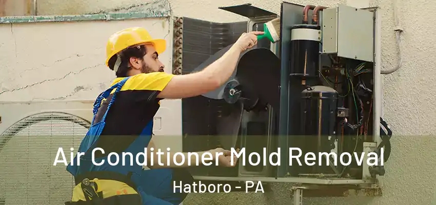  Air Conditioner Mold Removal Hatboro - PA
