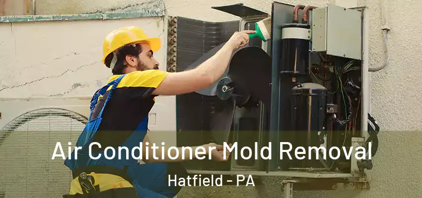  Air Conditioner Mold Removal Hatfield - PA
