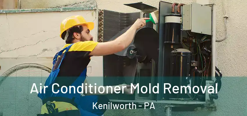  Air Conditioner Mold Removal Kenilworth - PA