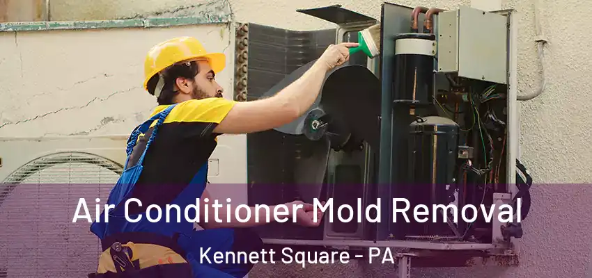  Air Conditioner Mold Removal Kennett Square - PA