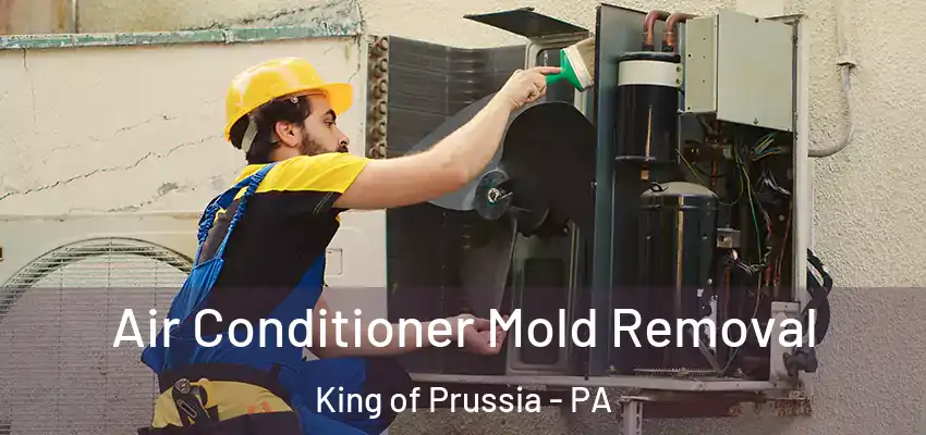 Air Conditioner Mold Removal King of Prussia - PA