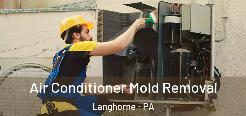  Air Conditioner Mold Removal Langhorne - PA