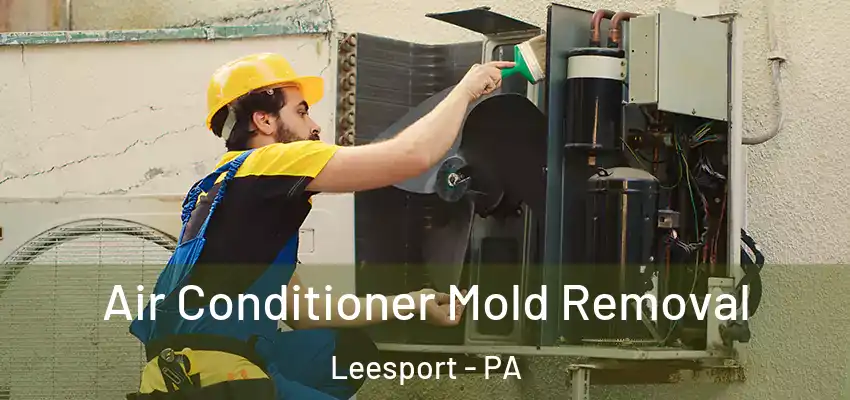 Air Conditioner Mold Removal Leesport - PA