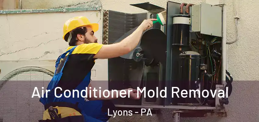  Air Conditioner Mold Removal Lyons - PA