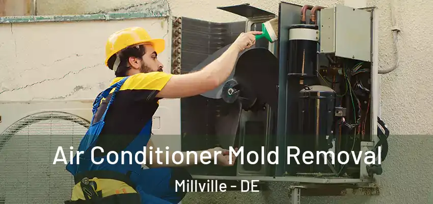 Air Conditioner Mold Removal Millville - DE