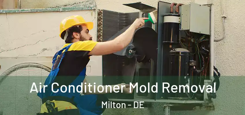  Air Conditioner Mold Removal Milton - DE