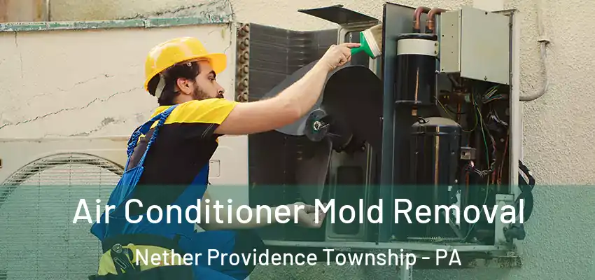  Air Conditioner Mold Removal Nether Providence Township - PA
