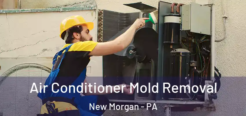  Air Conditioner Mold Removal New Morgan - PA