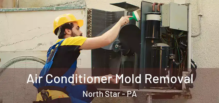  Air Conditioner Mold Removal North Star - PA