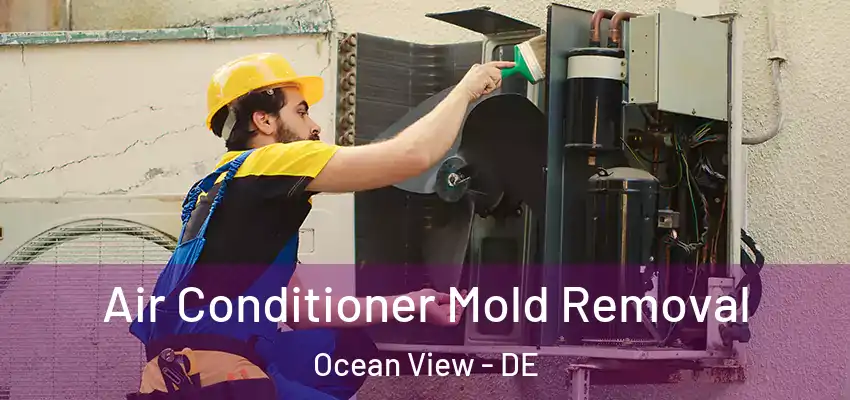  Air Conditioner Mold Removal Ocean View - DE