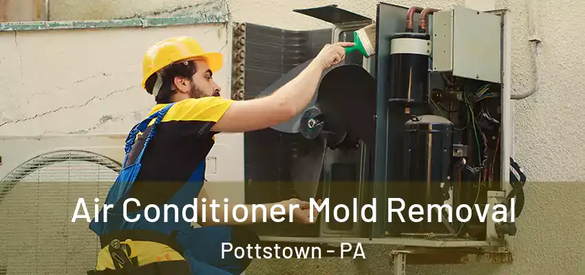  Air Conditioner Mold Removal Pottstown - PA