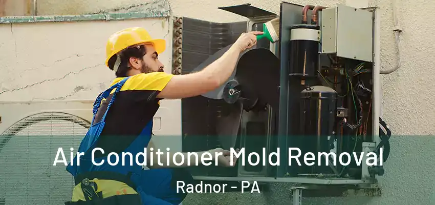  Air Conditioner Mold Removal Radnor - PA