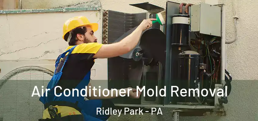  Air Conditioner Mold Removal Ridley Park - PA