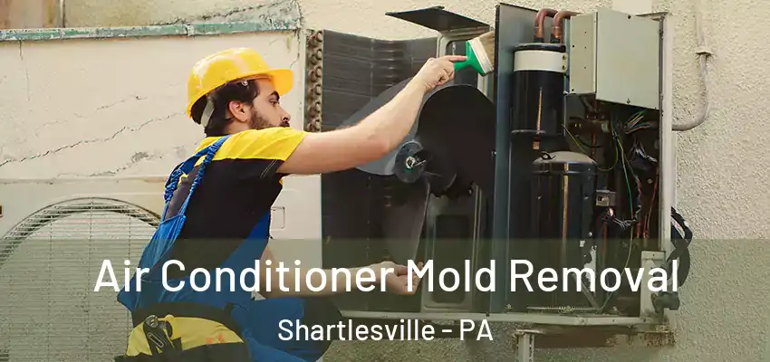 Air Conditioner Mold Removal Shartlesville - PA