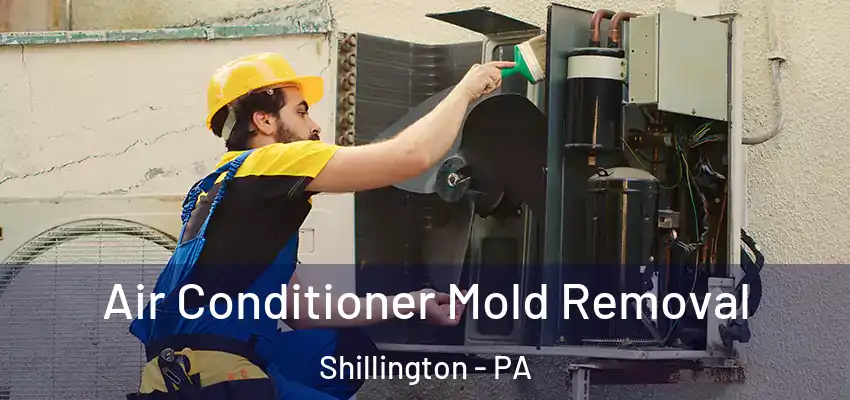  Air Conditioner Mold Removal Shillington - PA