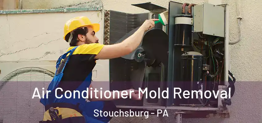  Air Conditioner Mold Removal Stouchsburg - PA