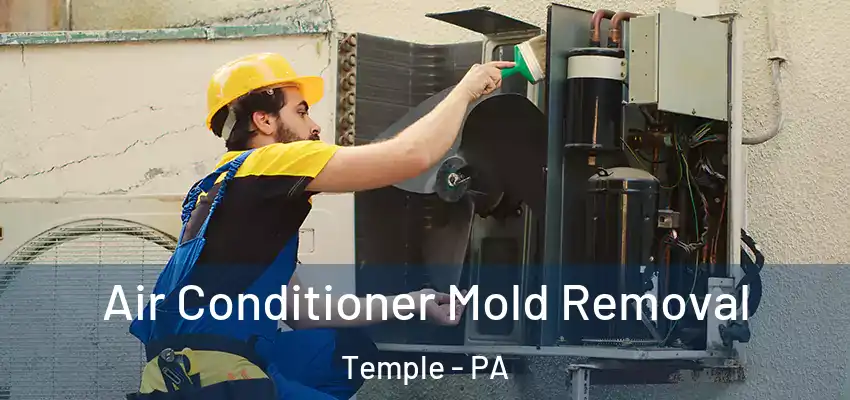  Air Conditioner Mold Removal Temple - PA