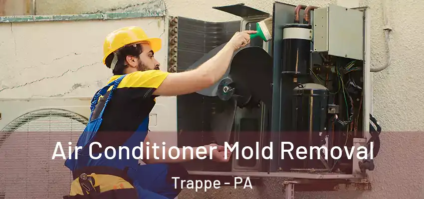  Air Conditioner Mold Removal Trappe - PA