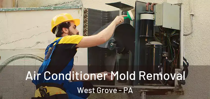  Air Conditioner Mold Removal West Grove - PA