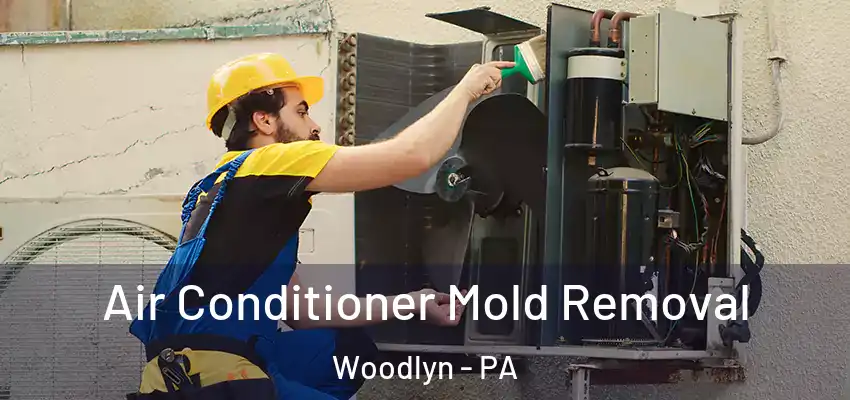  Air Conditioner Mold Removal Woodlyn - PA
