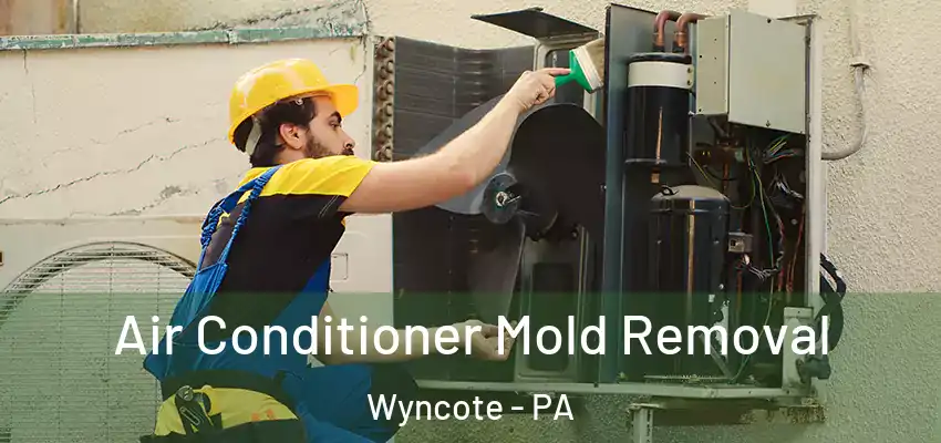 Air Conditioner Mold Removal Wyncote - PA