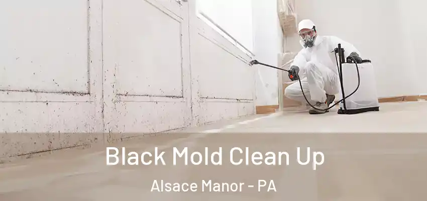 Black Mold Clean Up Alsace Manor - PA