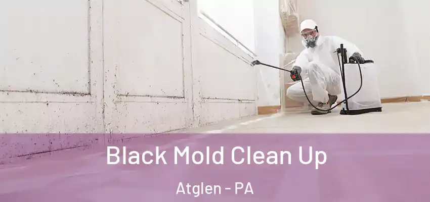 Black Mold Clean Up Atglen - PA