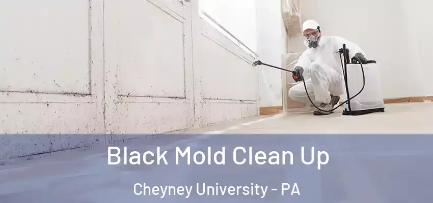  Black Mold Clean Up Cheyney University - PA