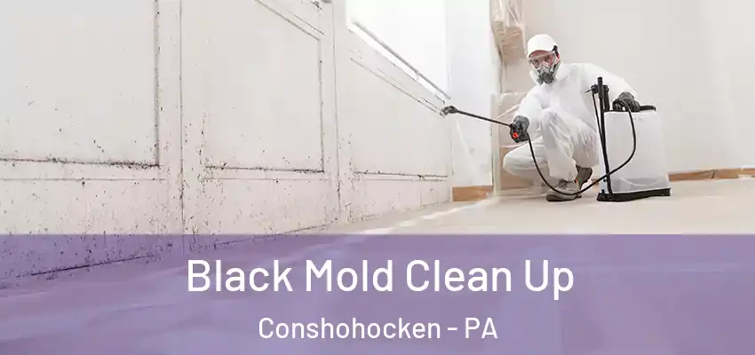 Black Mold Clean Up Conshohocken - PA
