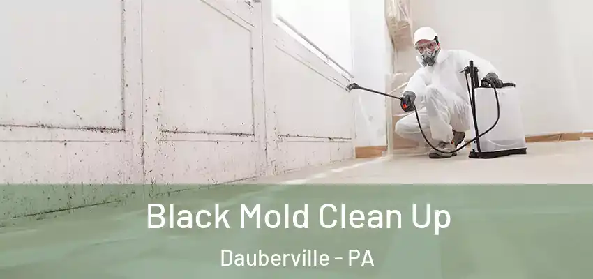  Black Mold Clean Up Dauberville - PA