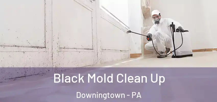 Black Mold Clean Up Downingtown - PA