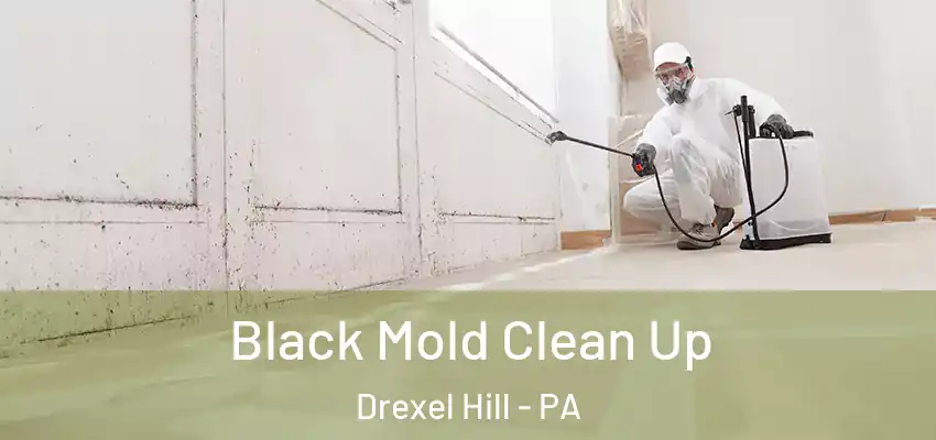 Black Mold Clean Up Drexel Hill - PA