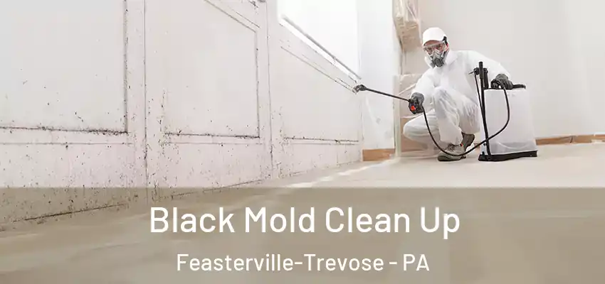 Black Mold Clean Up Feasterville-Trevose - PA