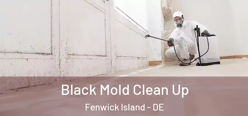 Black Mold Clean Up Fenwick Island - DE