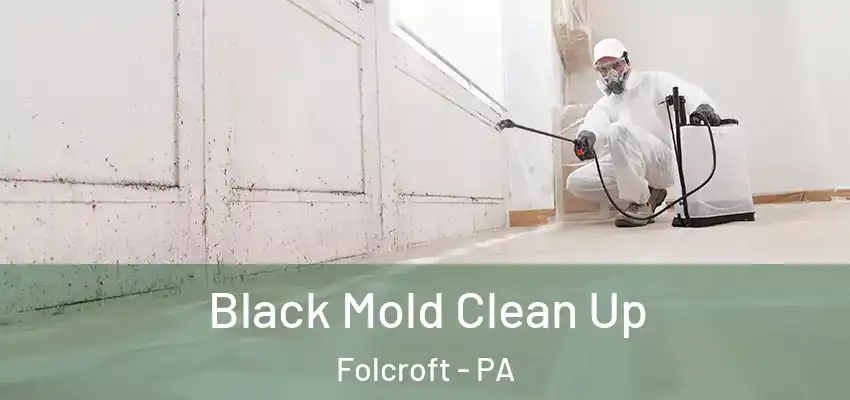 Black Mold Clean Up Folcroft - PA