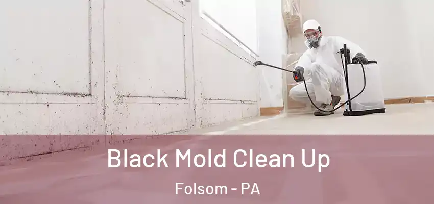 Black Mold Clean Up Folsom - PA