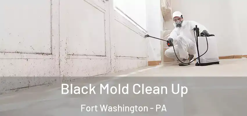  Black Mold Clean Up Fort Washington - PA