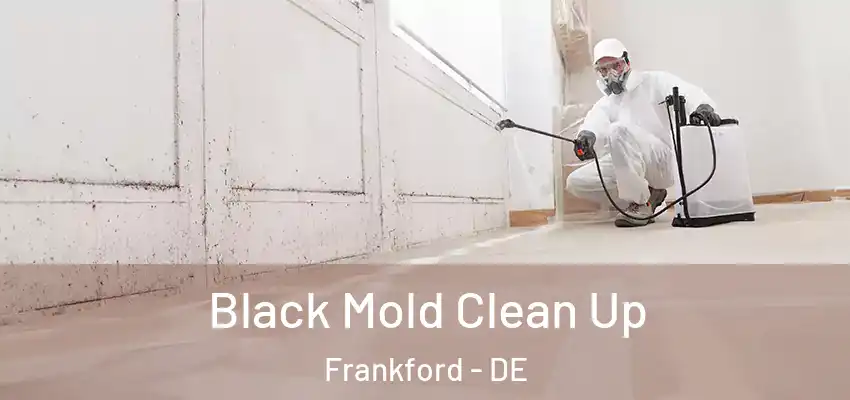 Black Mold Clean Up Frankford - DE
