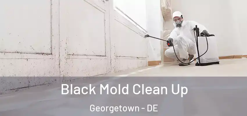 Black Mold Clean Up Georgetown - DE