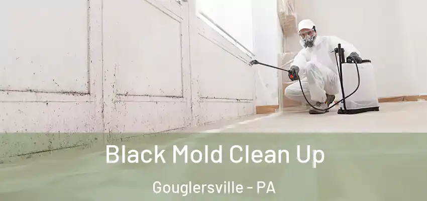  Black Mold Clean Up Gouglersville - PA