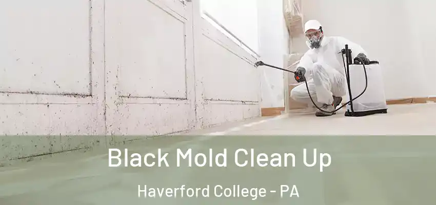 Black Mold Clean Up Haverford College - PA